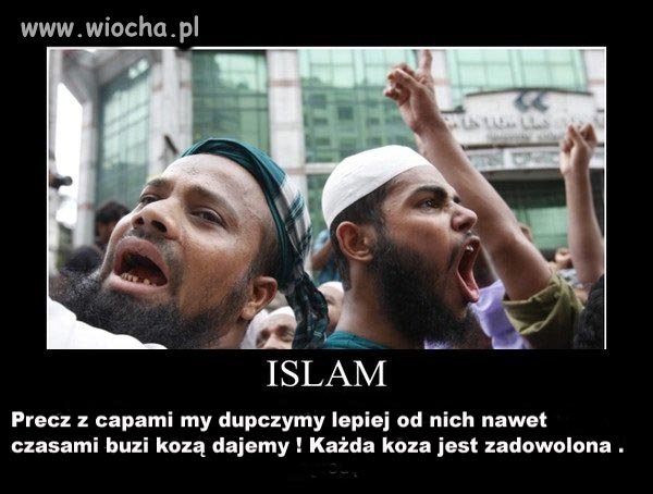 Muslim-kawalerka podczas tarła 