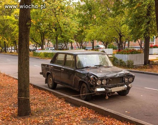 Przezorny 