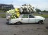 Farmer.