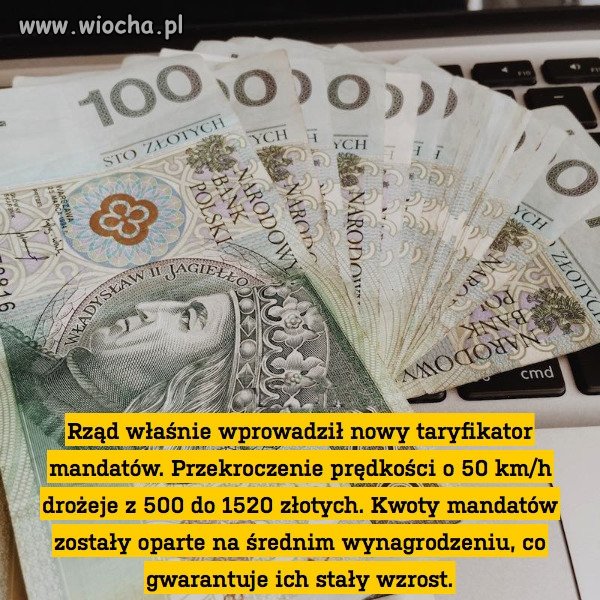 Walenie rodaków na grubą kasę
