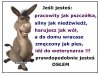 Polska