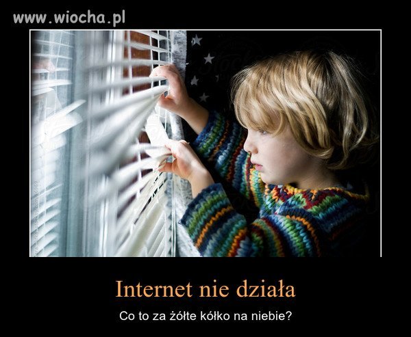 Bez neta