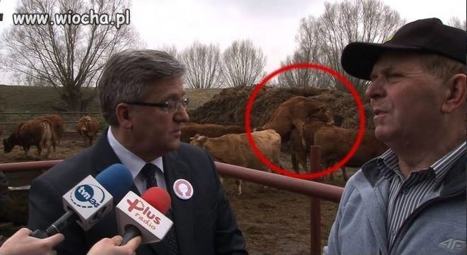 Chyba jedyna konferecja która 