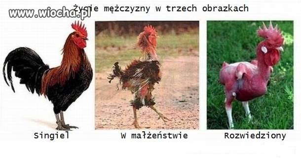 Życie mężczyzny w trzech obrazkach 