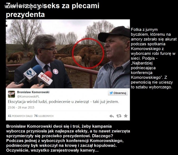 Bronek wywołuje podniecenie u zwierząt
