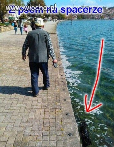 Z psem na spacerze..