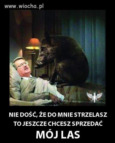 Koszmary Bredzisława 