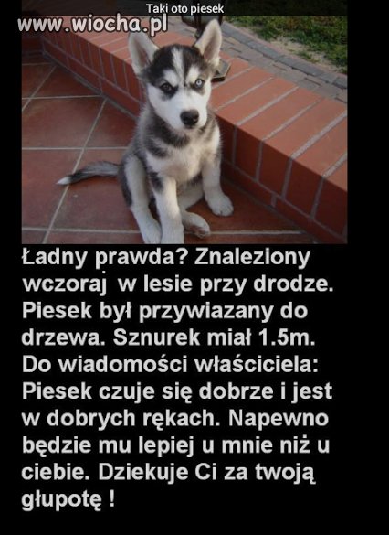 Znaleziony w lesie przy drodze