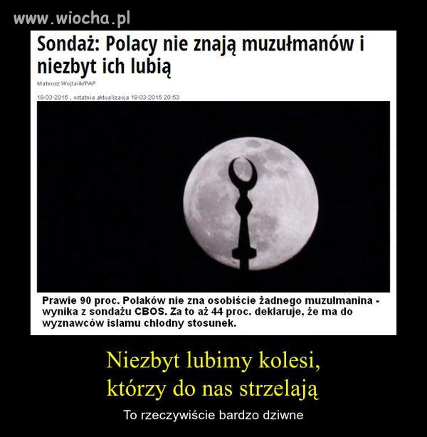 Polacy nie są głupi i dlatego nie chcą tych kłamców w kraju. 