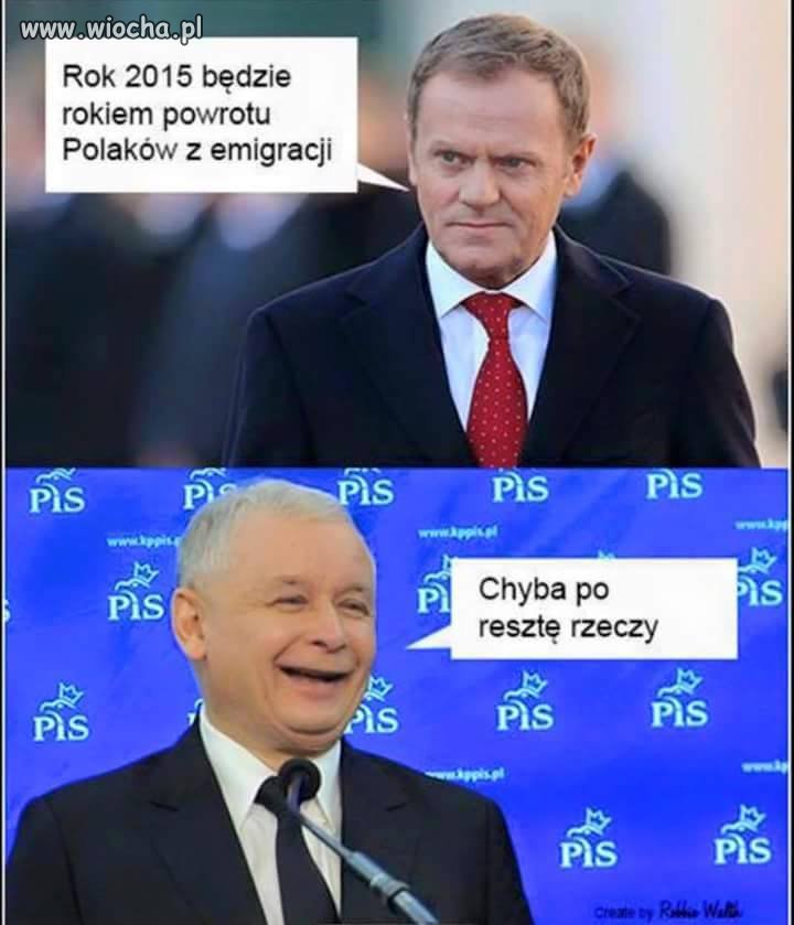 Wybory 2015