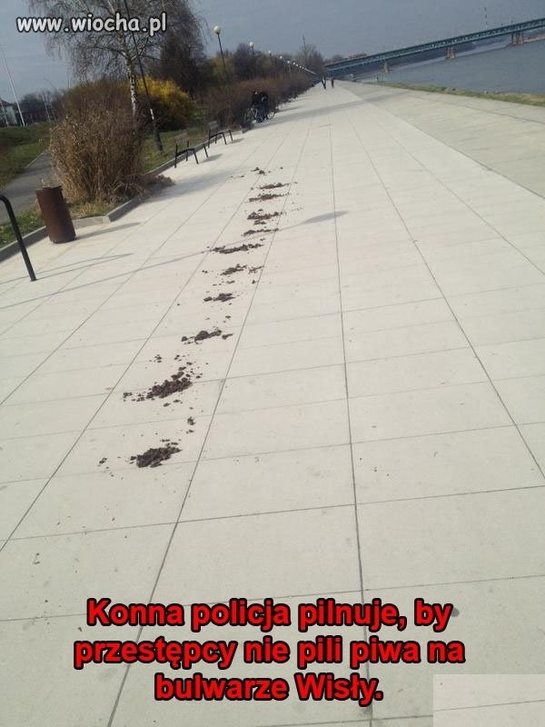 A po psie byłby mandacik lub upomnienie