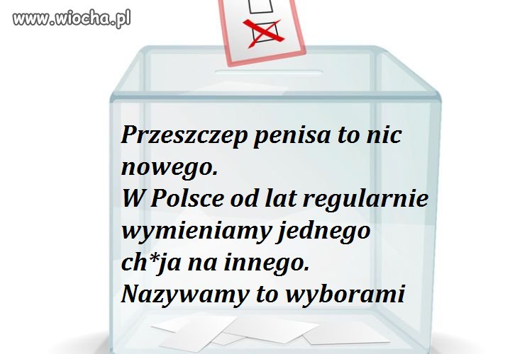 Wybory