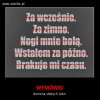 Wymówki