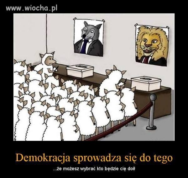 Tak właśnie wygląda demokracja