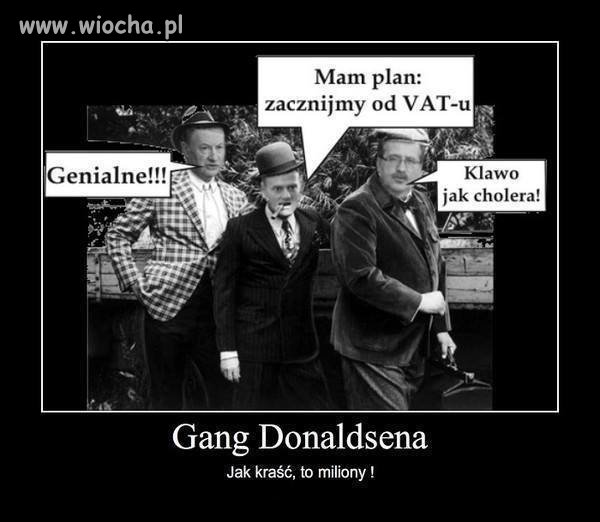 Nowy gang