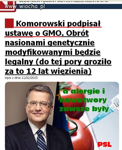 "lubię arbuza bez pestek - dlatego"