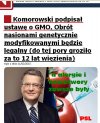 "lubię arbuza bez pestek - dlatego"
