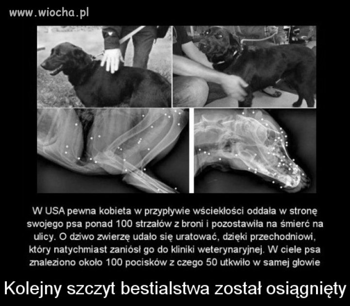 Nie tak świeża sprawa