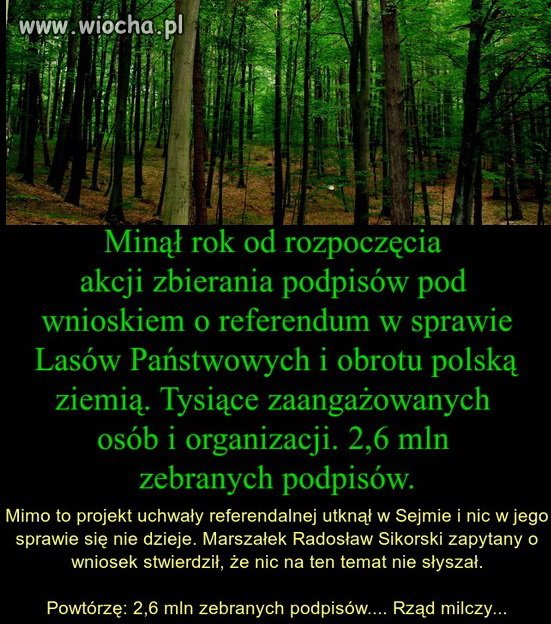 Co tam jakieś 2,6 mln podpisów
