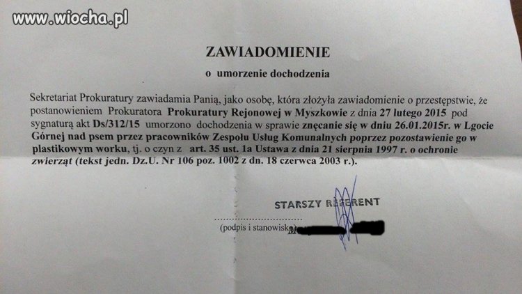Brak słów