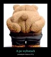 Myślę że tak będzie..