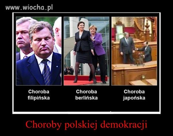 Nasi wspaniali POlitycy