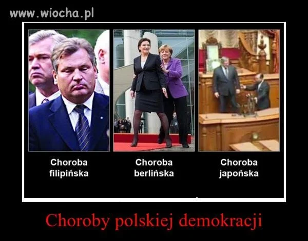 Nasi wspaniali POlitycy