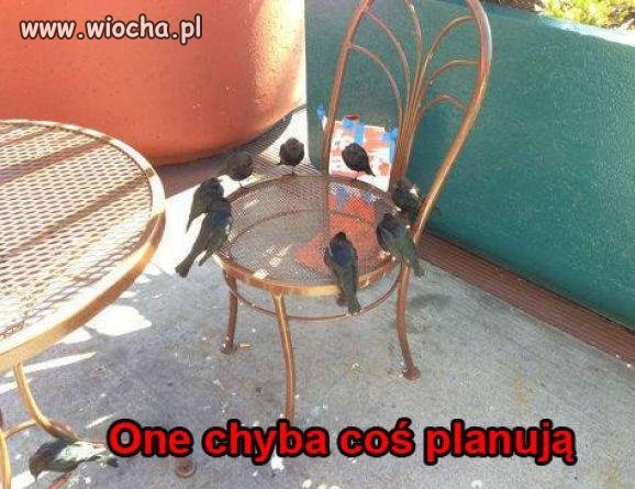 One chyba coś planują