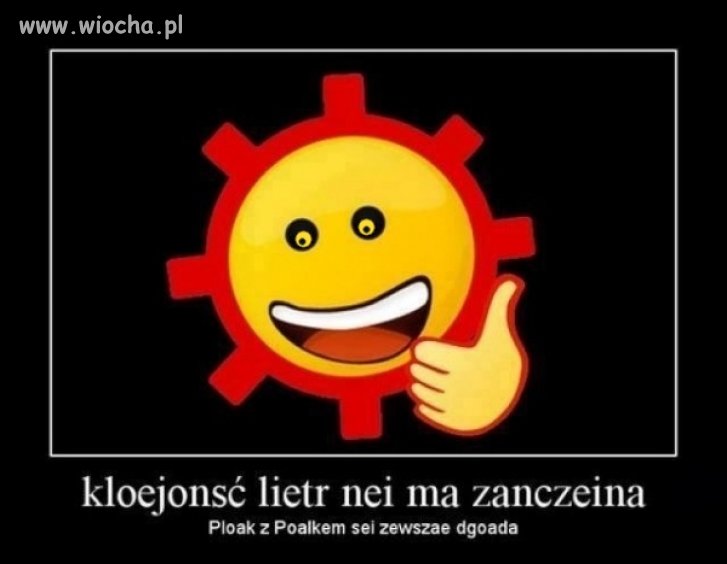 Polak z Polakiem się zawsze dogada