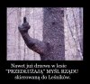 STOP prywatyzacji LASÓW PAŃSTWOWYCH