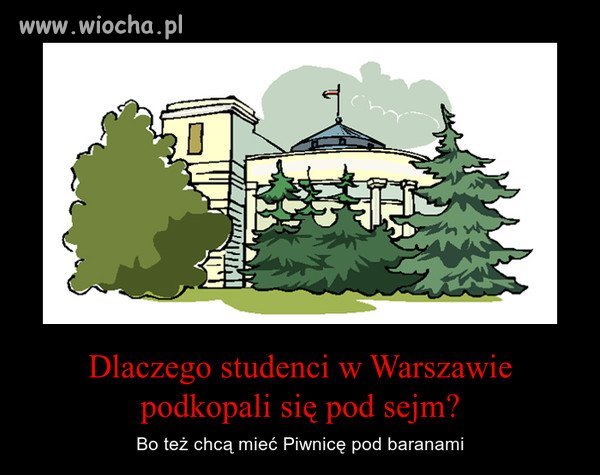 Dlaczego studenci...