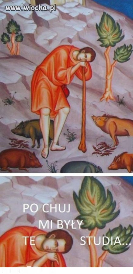 Nasza rzeczywistość