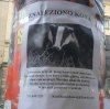Znaleziono kota