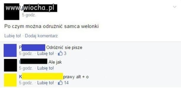 Po czym odróżnić