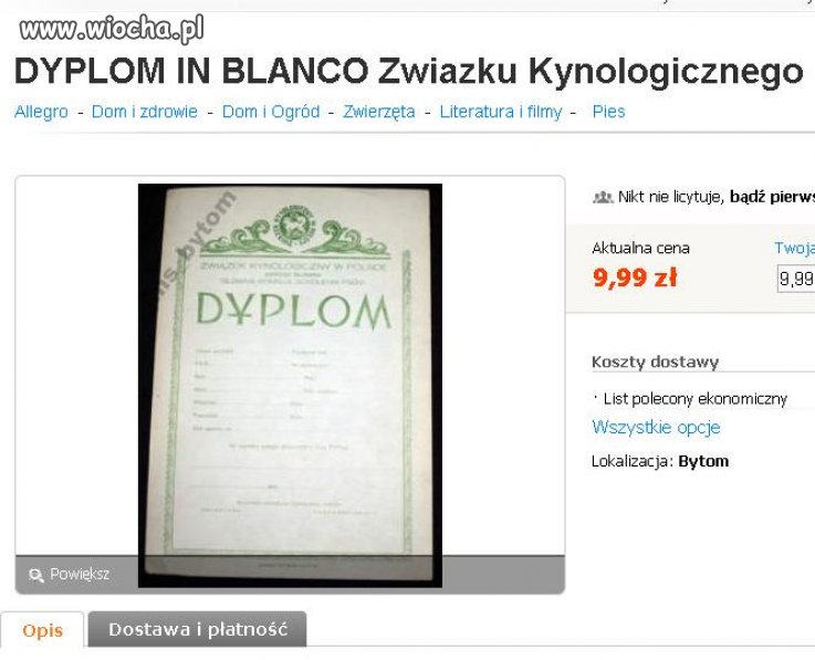 I za dyszkę pies staje się rasowy 