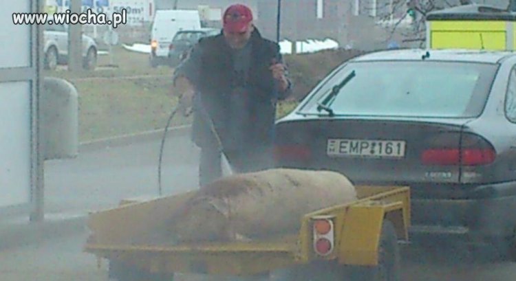 Nie ogarniam tego, Rosja.