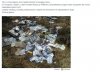 Komitet wyborczy Platformy Obywatelskiej