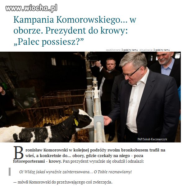 Sprośna kampania Bronisława K.