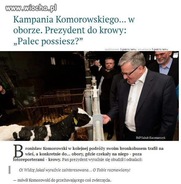 Sprośna kampania Bronisława K.