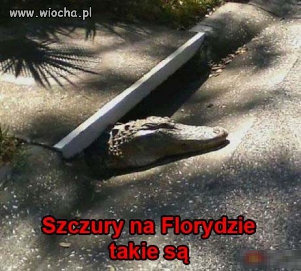 No to trzeba uważać...