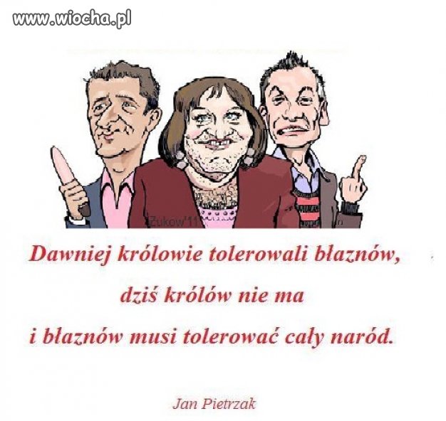 Tolerancja dla błaznów ...