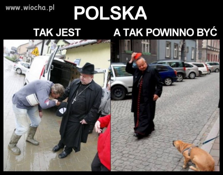 W pigułce 