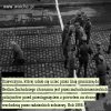 Dla wszystkich wielbicieli komuny.