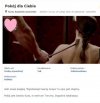 Pokój dla Ciebie