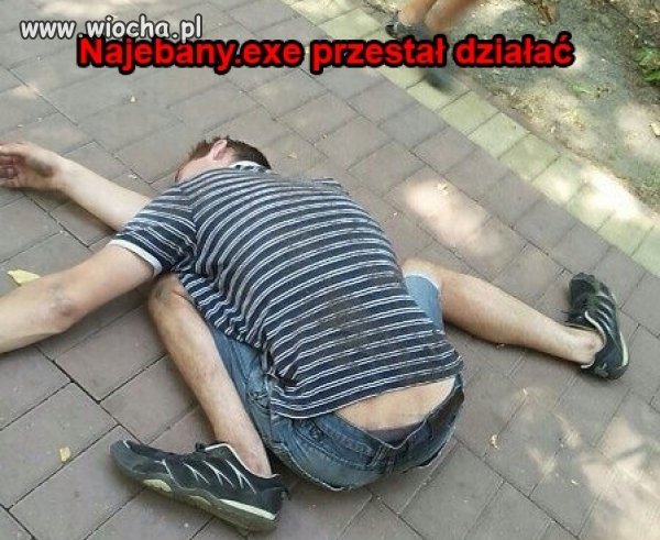 Naje.any i poskładany 2w1