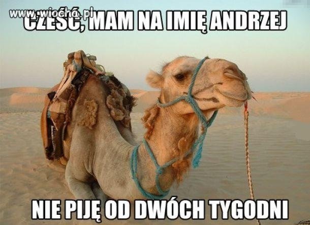 Andrzej