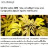 A jednak coś pożytecznego robią w tej UNII
