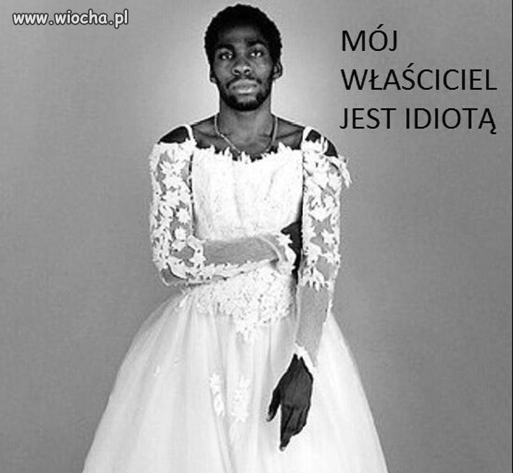 Mój właściciel jest idiotą !