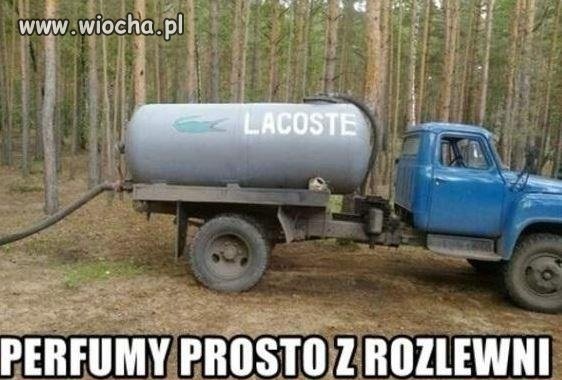 Zapach perfum lacoste