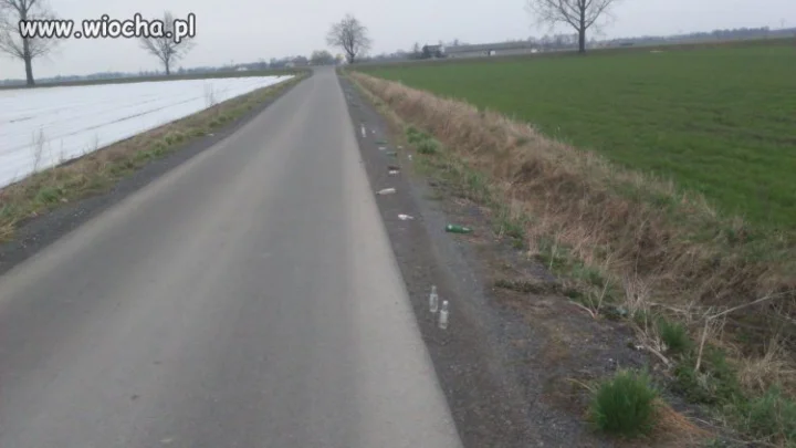 Wiosenne porządki